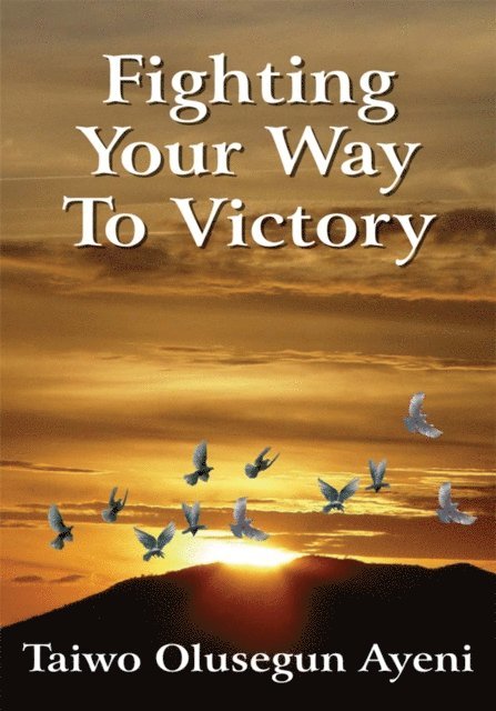 Taiwo Olusegun Ayeni - Fighting Your Way to Victory, E-bok