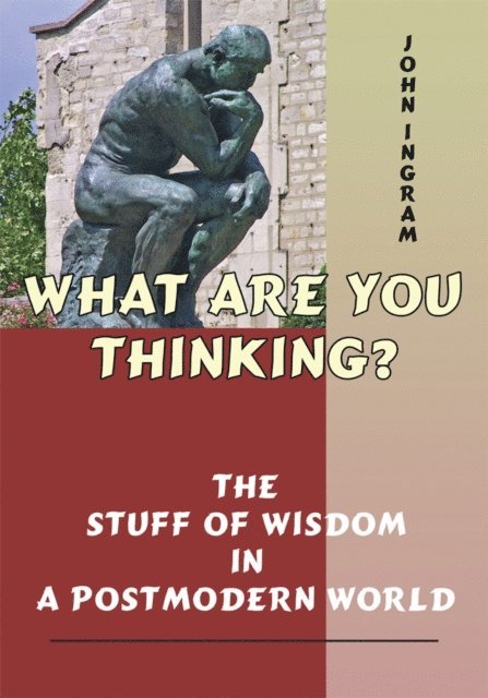 John Ingram - What Are You Thinking?, E-bok
