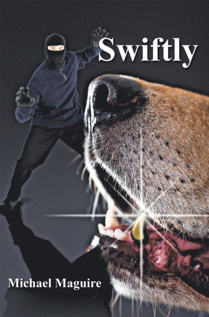 Michael Maguire - Swiftly, E-bok