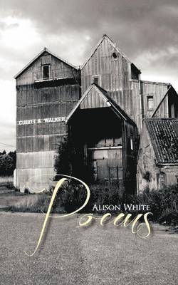 Alison White - Alison White Poems, Häftad. Tillgänglighet: Lägg i varukorg