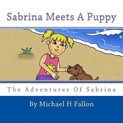 Michael H. Fallon - Sabrina Meets A Puppy, Häftad. Tillgänglighet: Lägg i varukorg