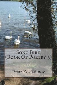 Petar Kostadinov - Song Bird (Book Of Poetry 3), Häftad. Tillgänglighet: Lägg i varukorg