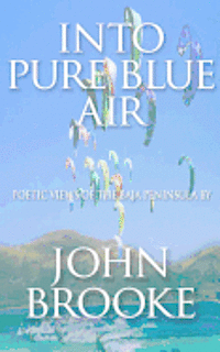 John Brooke - Into Pure Blue Air, Häftad. Tillgänglighet: Lägg i varukorg