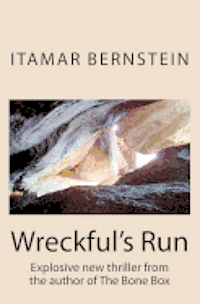 Itamar Bernstein, Byron Bernstein - Wreckful's Run, Häftad. Tillgänglighet: Lägg i varukorg