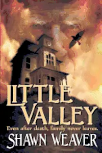 Shawn Weaver - Little Valley, Häftad. Tillgänglighet: Lägg i varukorg