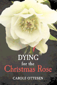 Carole Ottesen - Dying for the Christmas Rose, Häftad. Tillgänglighet: Lägg i varukorg