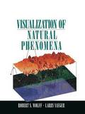 Visualization of Natural Phenomena