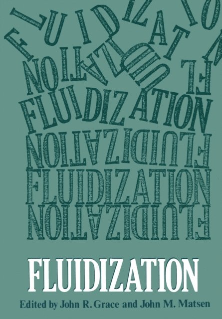 John R. Grace, John M. Matsen - Fluidization, E-bok