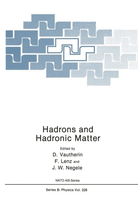 J.W. Negele, F. Lenz, Dominique Vautherin - Hadrons and Hadronic Matter, E-bok