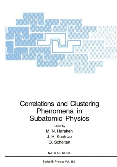 O. Scholten, J.H. Koch, M.N. Harakeh - Correlations and Clustering Phenomena in Subatomic Physics, E-bok