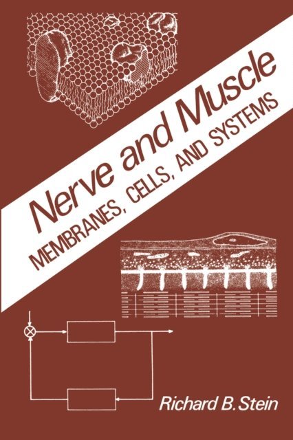 R. Stein - Nerve and Muscle, E-bok