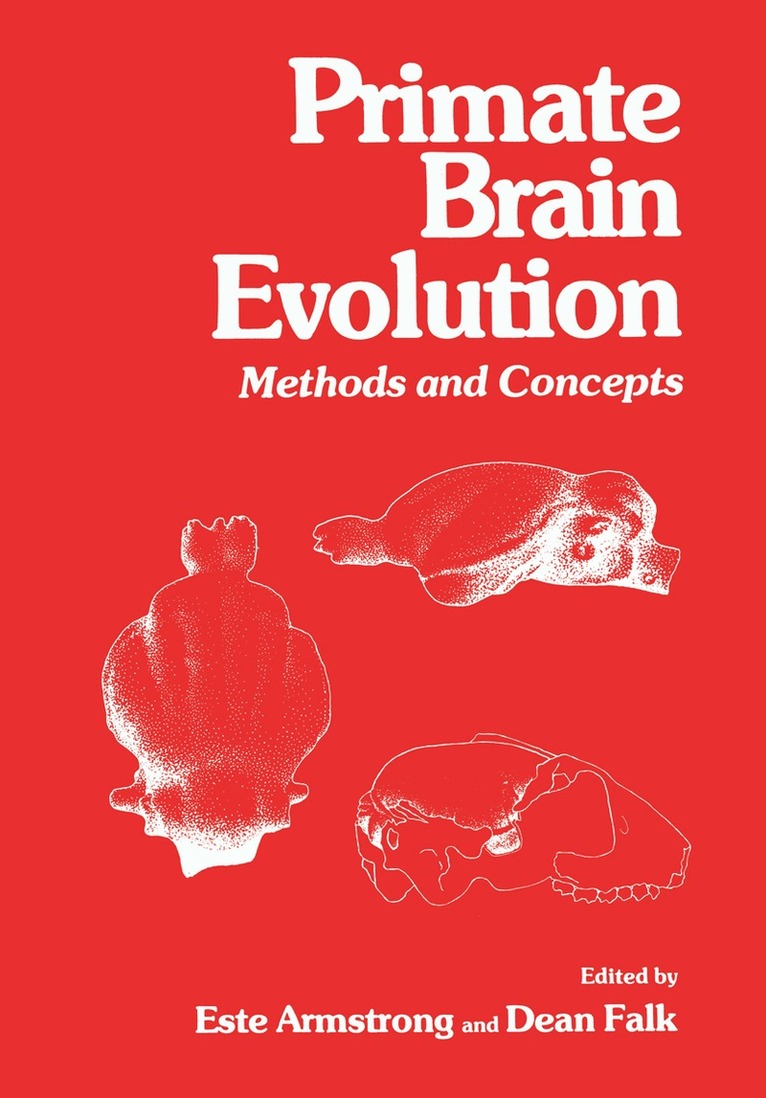 Este Armstrong, Dean Falk - Primate Brain Evolution, Häftad