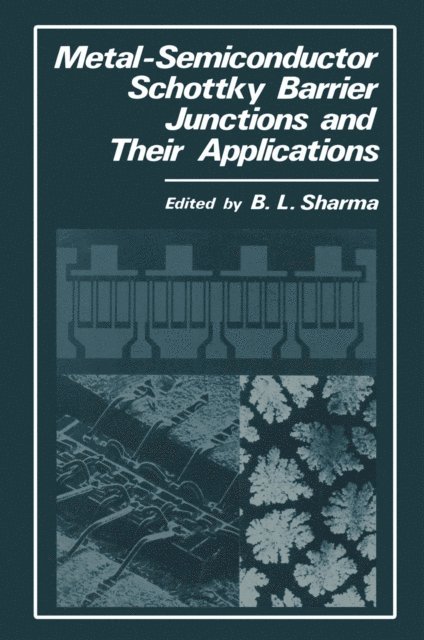 B.L. Sharma - Metal-Semiconductor Schottky Barrier Junctions and Their Applications, E-bok