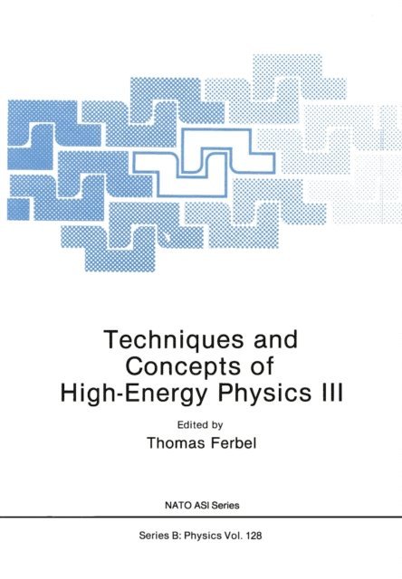 Thomas Ferbel - Techniques and Concepts of High-Energy Physics III, E-bok