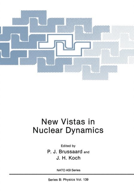 J. H. Koch, P. J. Brussaard - New Vistas in Nuclear Dynamics, E-bok