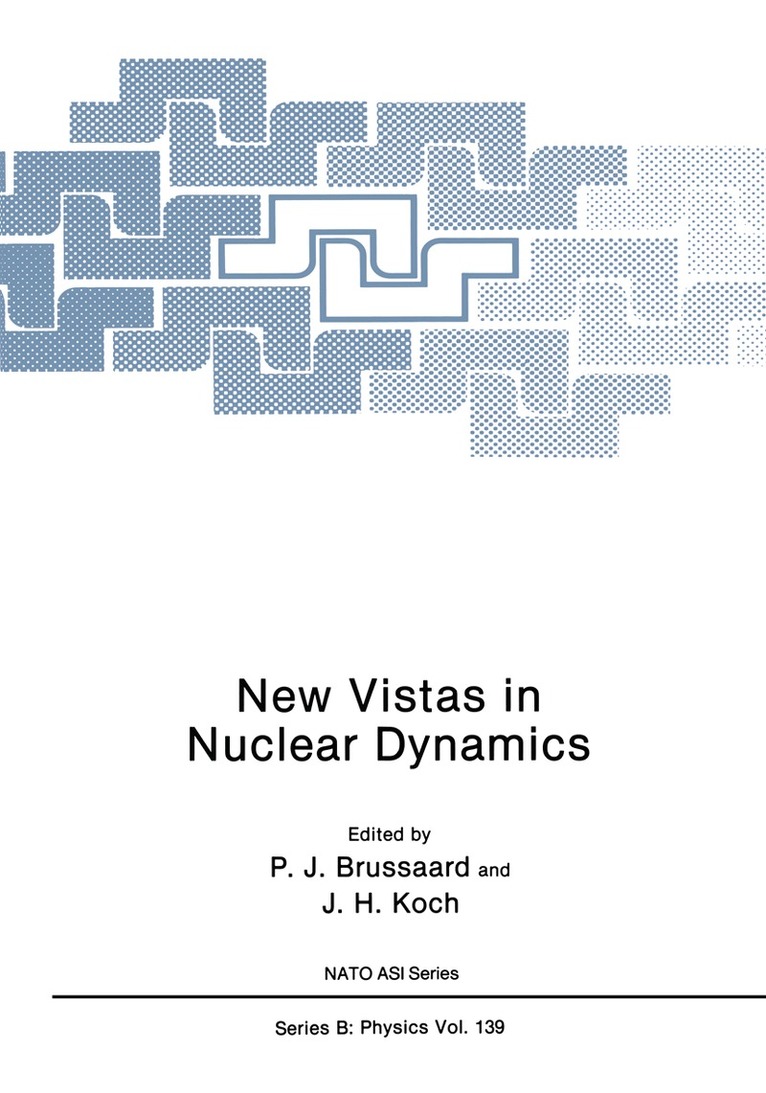 P. J. Brussaard, J. H. Koch - New Vistas in Nuclear Dynamics, Häftad