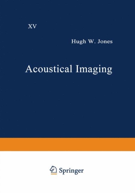 Hugh W. Jones - Acoustical Imaging, E-bok