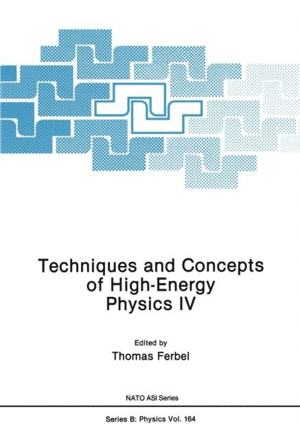 Thomas Ferbel - Techniques and Concepts of High-Energy Physics IV, E-bok