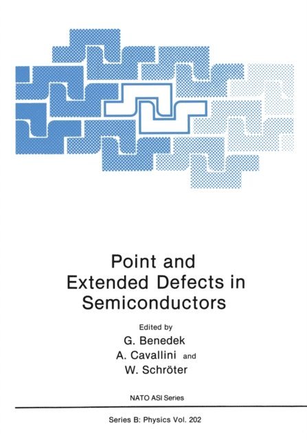 Giorgio Benedek - Point and Extended Defects in Semiconductors, E-bok