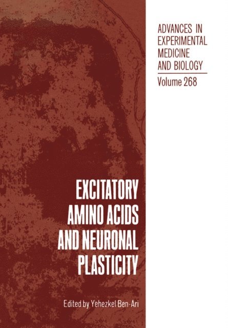 Yehezkel Ben-Ari - Excitatory Amino Acids and Neuronal Plasticity, E-bok