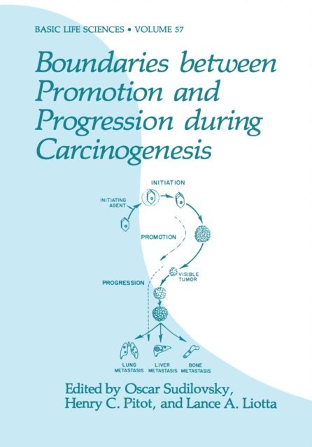 L.A. Liotta, Henry C. Pitot, Oscar Sudilovsky - Boundaries between Promotion and Progression during Carcinogenesis, E-bok