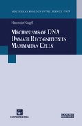 Mechanisms of DNA Damage Recognition in Mammalian Cells