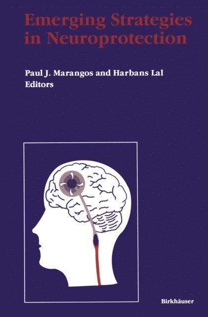 Lal, Manangos - Emerging Strategies in Neuroprotection, E-bok