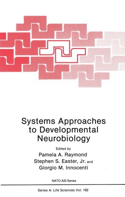 Giorgio M. Innocenti, Stephen S. Easter Jr., Pamela A. Raymond - Systems Approaches to Developmental Neurobiology, E-bok