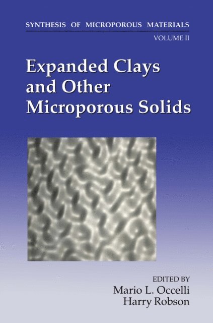 H. Robson, M.L. Occelli - Expanded Clays and Other Microporous Solids, E-bok