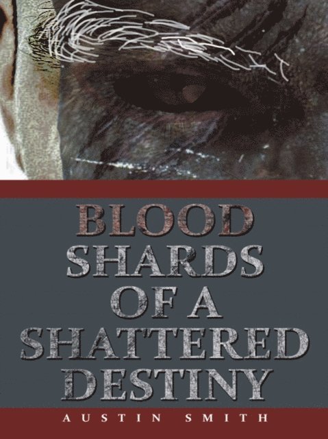 Austin Smith - Blood Shards of a Shattered Destiny, E-bok