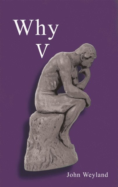 John Weyland - Why V, E-bok