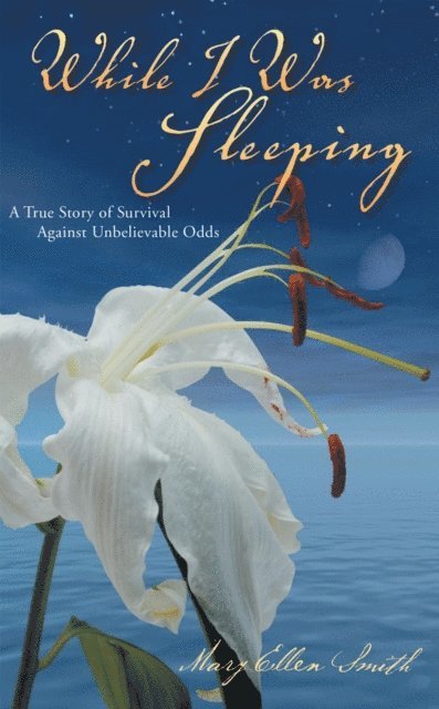 Mary Ellen Smith - While I Was Sleeping, E-bok