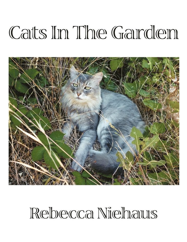 Rebecca Niehaus - Cats In The Garden, Häftad. Tillgänglighet: Lägg i varukorg