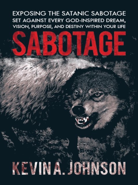 Kevin A. Johnson - Sabotage, E-bok
