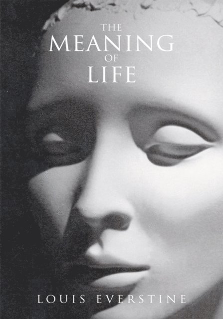 Louis Everstine - Meaning of Life, E-bok