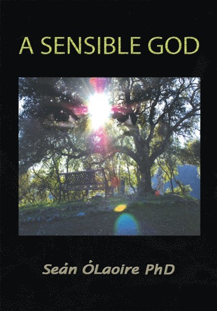 Sean OLaoire - Sensible God, E-bok