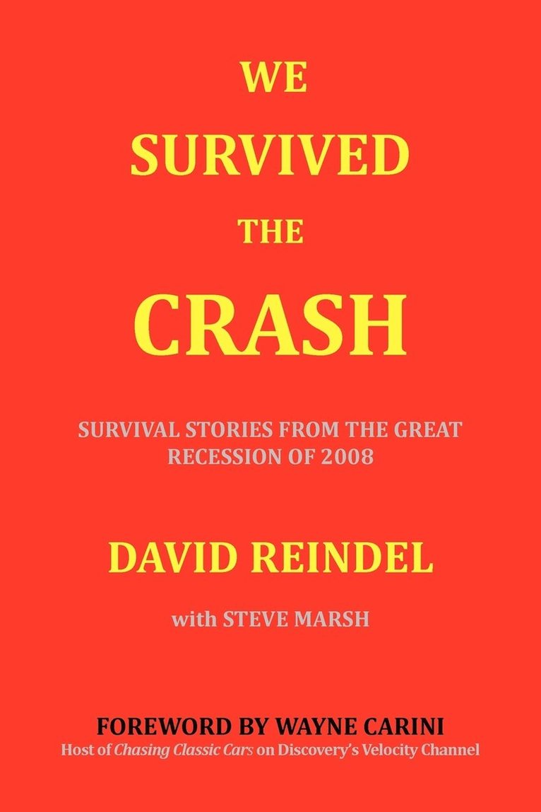 David Reindel - We Survived the Crash, Häftad. Tillgänglighet: Lägg i varukorg