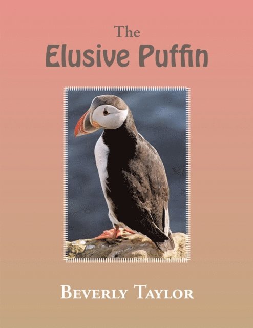 Beverly Taylor - Elusive Puffin, E-bok