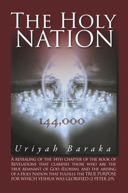 Eric Robinson - Holy Nation, E-bok