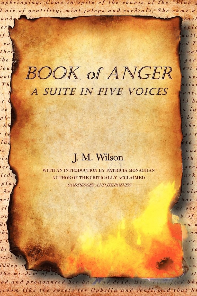 J M Wilson - Book of Anger, Häftad