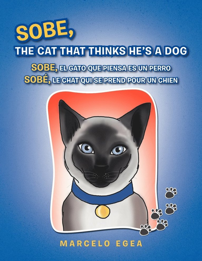 Sobe, the Cat That Thinks He's a Dog