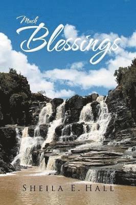 Sheila E Hall - Much Blessings, Häftad. Tillgänglighet: Lägg i varukorg