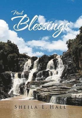 Sheila E Hall - Much Blessings, Inbunden. Tillgänglighet: Lägg i varukorg