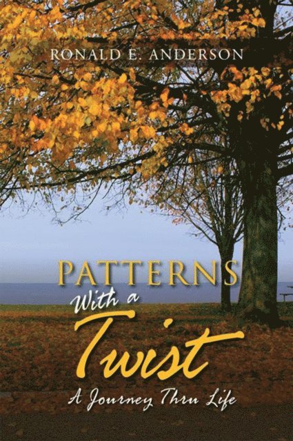 Ronald E. Anderson - Patterns with a Twist, E-bok