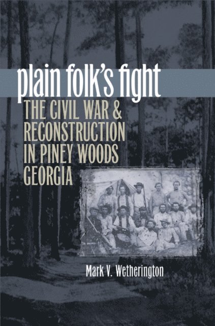Mark V. Wetherington - Plain Folk's Fight, E-bok