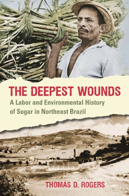 Thomas D. Rogers - Deepest Wounds, E-bok
