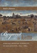 Beyond the Alamo