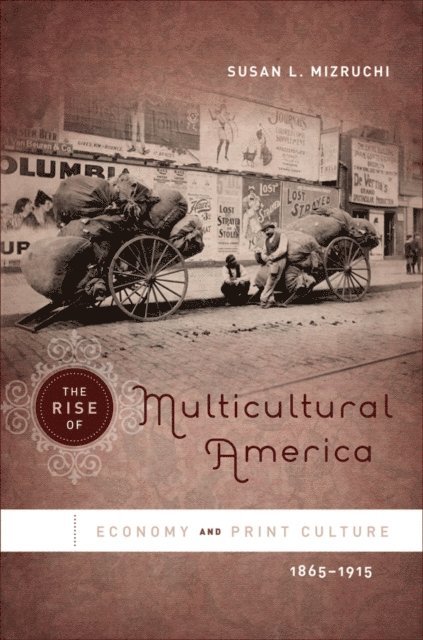 Susan L. Mizruchi - Rise of Multicultural America, E-bok