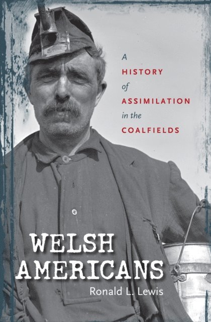 Ronald L. Lewis - Welsh Americans, E-bok