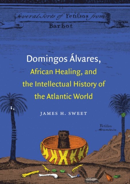 James H. Sweet - Domingos Alvares, African Healing, and the Intellectual History of the Atlantic World, E-bok